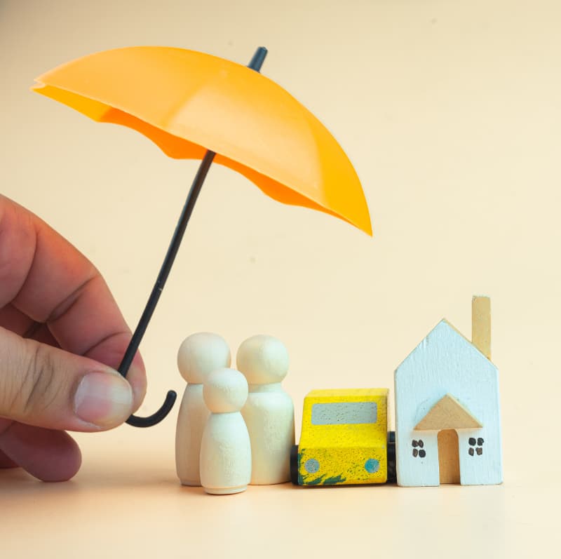 Servicii speciale pentru locuințe asigurate Servicii speciale pentru locuințe asigurate