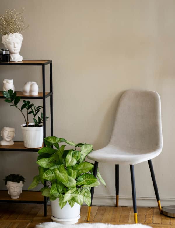 Culoarea și emoția design cu intenție